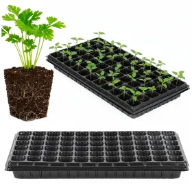 Multisection tray GA0221 52.5 x 31.5 cm